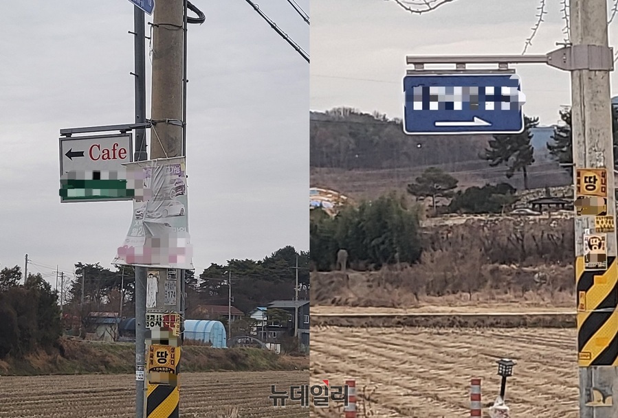 ▲ 9일 낮 전주시 완산구 곳곳에서 전봇대에 사설안내표지판이 걸려있는 모습을 확인할 수 있었다. ⓒ김회영 기자