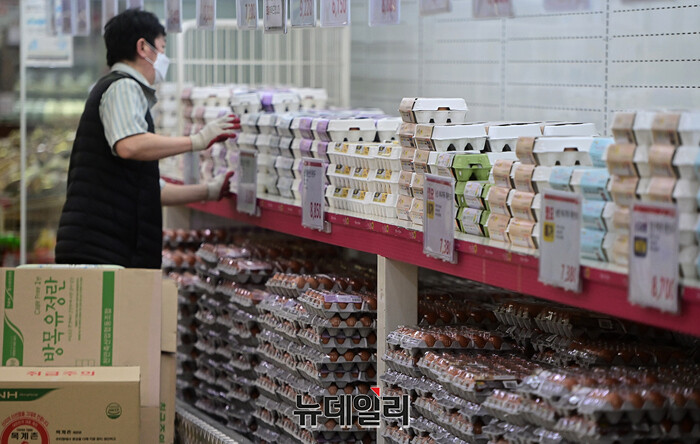 ▲ 한 대형마트에 진열된 달걀. ⓒ뉴데일리DB