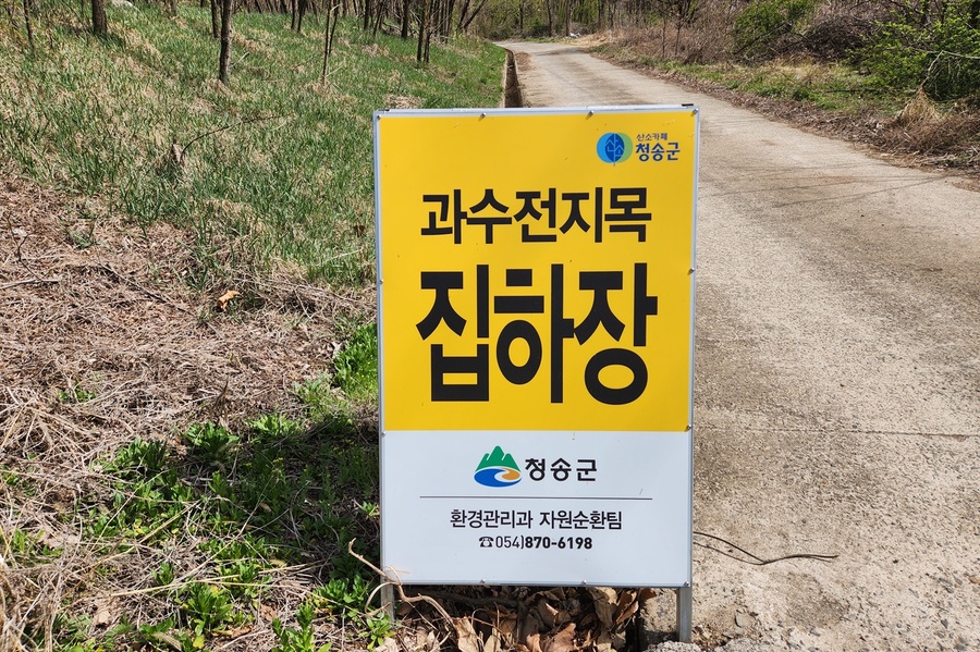 ▲ 청송군(군수 윤경희)은 1월 15일부터 3월 15일까지 2달간 관내 과수농가에서 발생하는 과수 전지목 처리를 위한 ‘2024년 과수전지목 수거 및 처리 사업’을 진행한다.ⓒ청송군