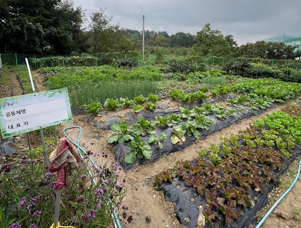 ▲ 오는 22~26일 지역 주민이 도심 속에서 농사 체험과 공동체형성을 위해 도시농업 공동체 텃밭 농장 참여자 모집.ⓒ대전유성구