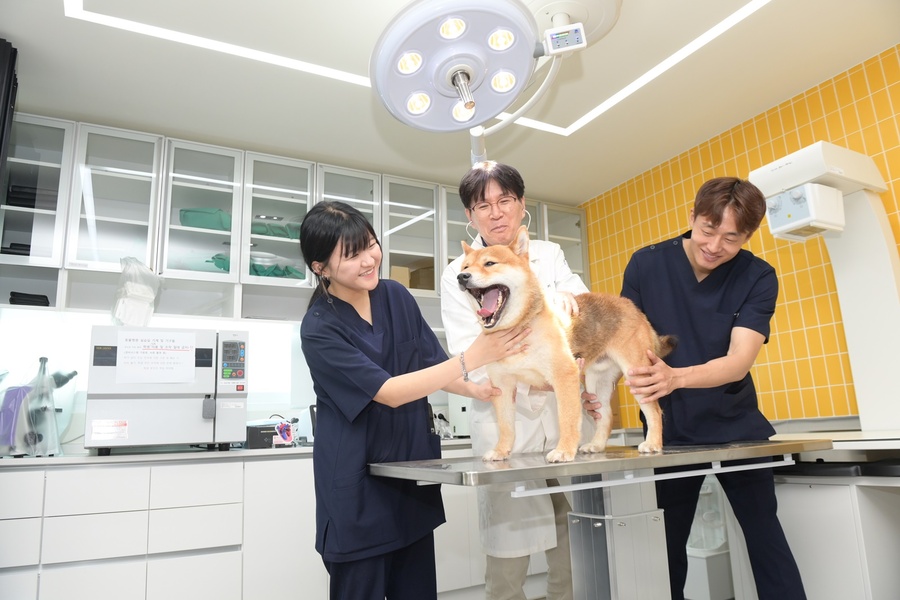 ▲ 대구보건대학교 반려동물보건관리학과 재학생들이 동물보건 실무 실습을 진행하고 있다.ⓒ대구보건대