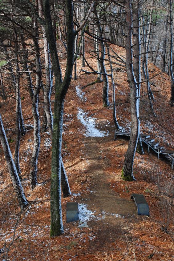 ▲ 임도 갈림길 안부.ⓒ진경수 山 애호가