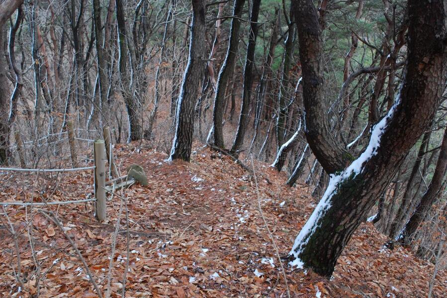 ▲ 보덕산에서 하산하는 산길.ⓒ진경수 山 애호가