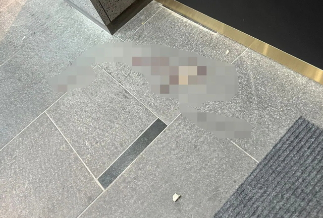 ▲ 괴한이 배현진 국민의힘 의원을 가격할 때 사용한 돌.ⓒ배현진 의원실