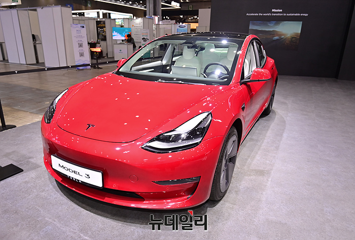 ▲ 테슬라 모델3 차주가 
