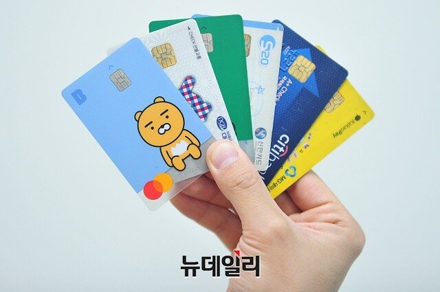 ▲ 카드. 사진=정상윤 기자