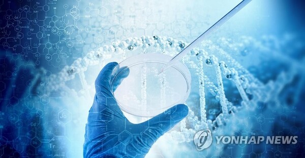 ▲ ⓒ연합뉴스 제공