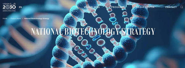 ▲ ⓒ사우디아라비아 '비전2030' 소개 홈페이지 캡처