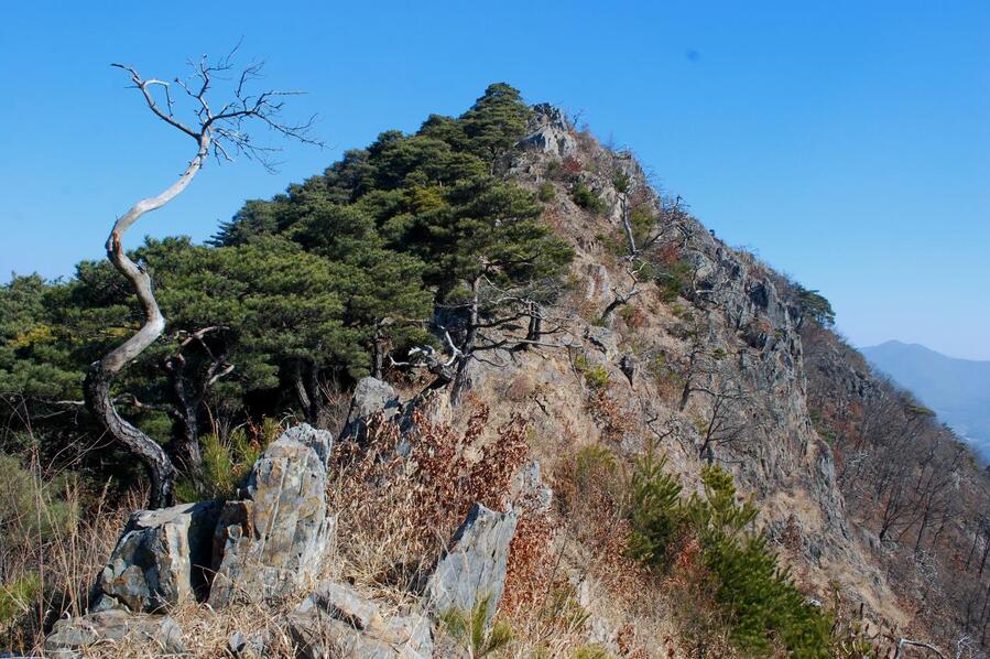 ▲ 성불산 2봉.ⓒ진경수 山 애호가