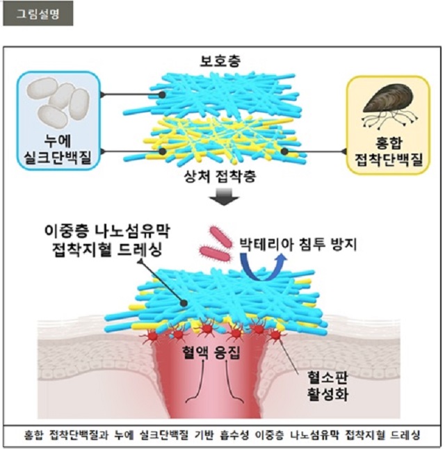 ▲ 연구 관련 그림.ⓒ포스텍