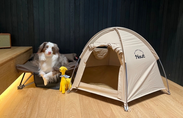 ▲ ⓒ소노펫클럽앤리조트 비발디파크