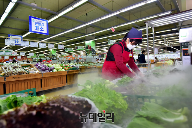 ▲ 물가ⓒ뉴데일리