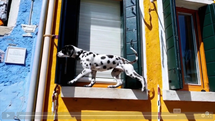 ▲ 오픈AI 생성형 AI모델 '소라'가 제작한 동영상 일부 ⓒ오픈AI 홈페이지 화면 캡처