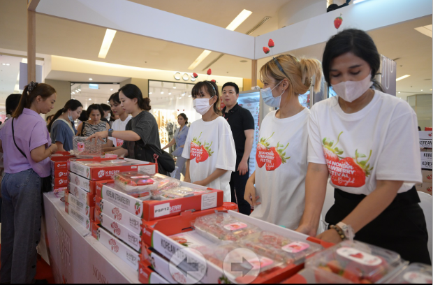 ▲ 딸기판촉 행사 모습.ⓒ논산시