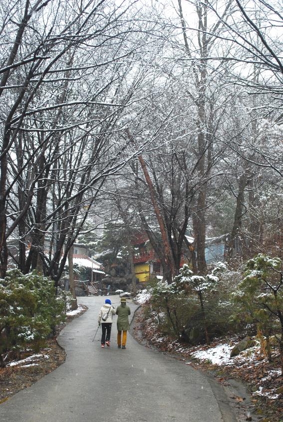 ▲ 눈꽃이 만발한 고산사 가는 길.ⓒ진경수 山 애호가