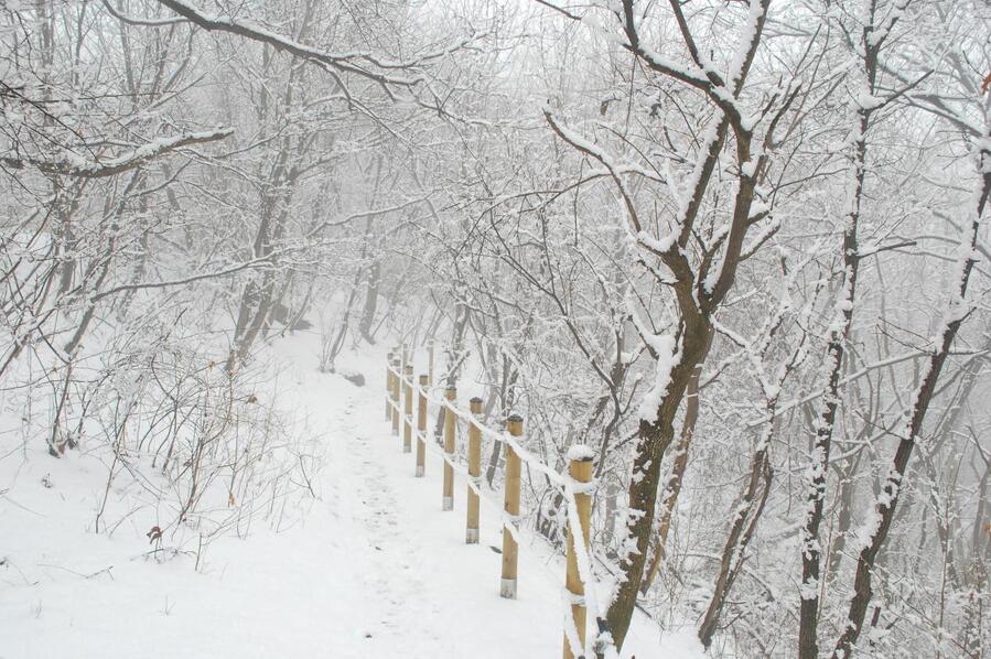 ▲ 운주산 정상에서 하산하는 성곽순환길.ⓒ진경수 山 애호가