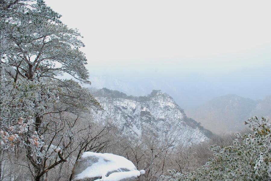 ▲ 형제봉 정상의 상고대.ⓒ진경수 山 애호가