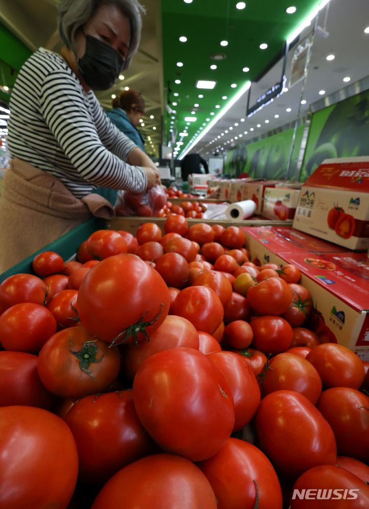 ▲ 서울 서초구 농협 하나로마트 양재점에 진열된 토마토의 모습 ⓒ뉴시스