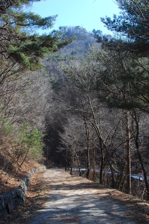 ▲ 다릿재 1코스와 이어지는 임도.ⓒ진경수 山 애호가