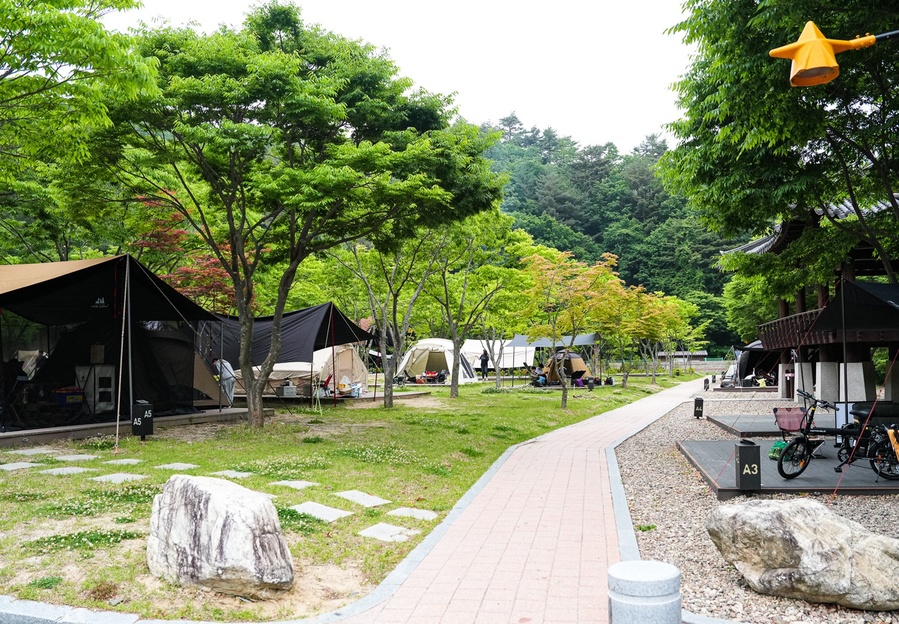 ▲ 영양군(군수 오도창) 수비면 수하리의 혹한이 지나고 개구리가 겨울잠에서 깨며 ‘청소년수련원 캠핑장’이 3월 8일 다시 문을 열었다.ⓒ영양군