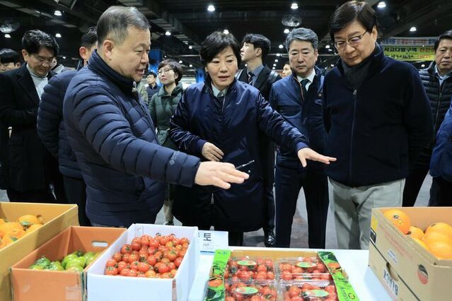 ▲ 송미령 농림축산식품부 장관이 12일 오전 서울 송파구 가락시장 과일 경매장을 방문해 과일을 살펴보고 있다 ⓒ뉴시스