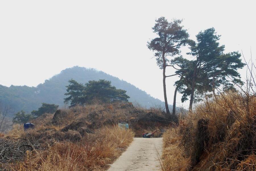 ▲ ‘지등산 등산로 안내’ 판이 세워진 세거리길.ⓒ진경수 山 애호가