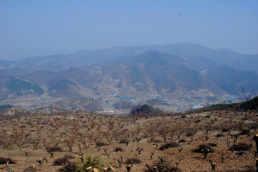 ▲ 산비탈 밤나무밭 너머의 두알봉과 인등산.ⓒ진경수 山 애호가