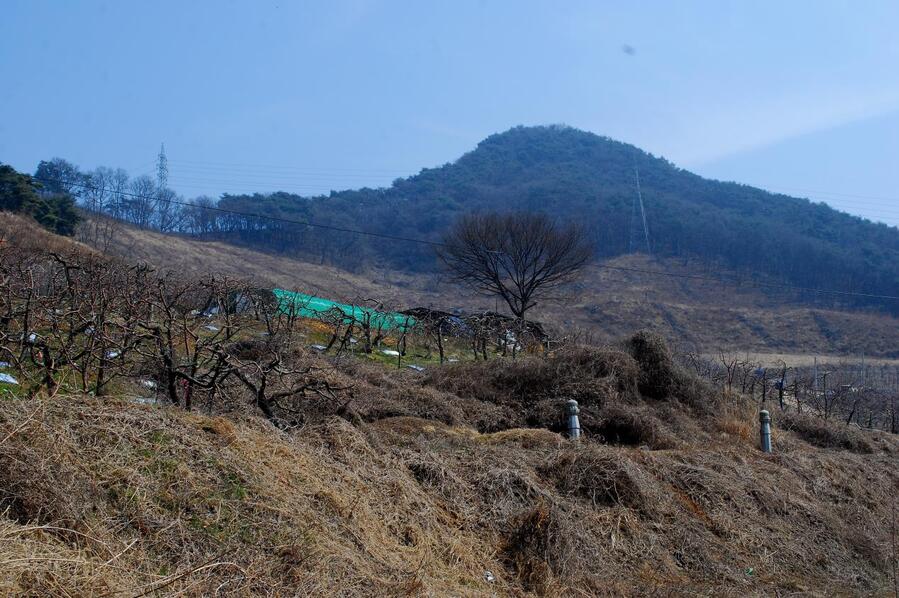 ▲ 건지마을에서 바라본 지등산.ⓒ진경수 山 애호가