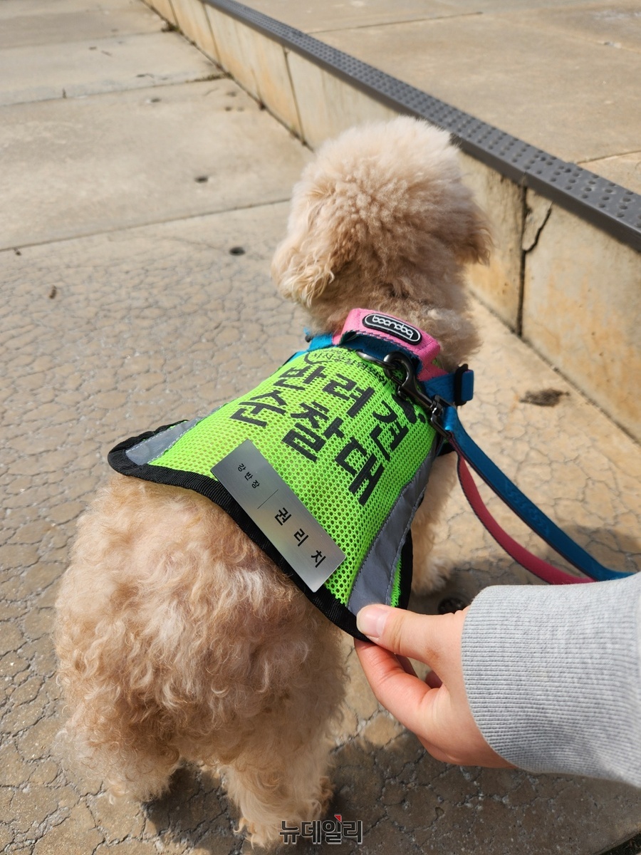 ▲ 지난 27일 서울 강서구 마곡나루의 서울식물원 호수공원에서 만난 반려견 리치의 모습. ⓒ진선우 기자