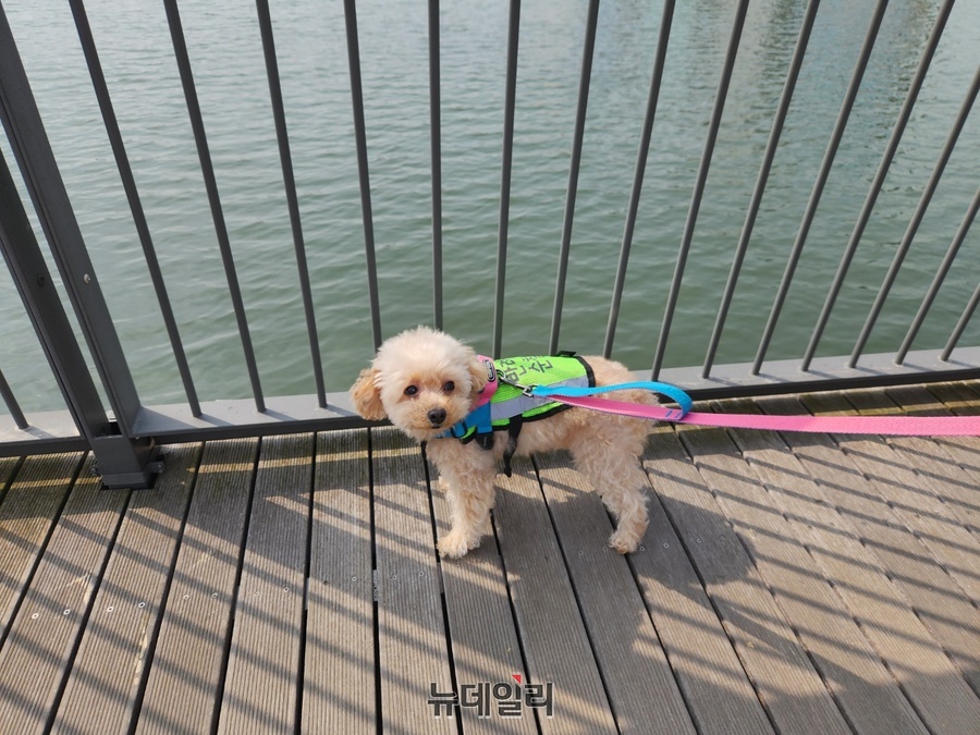 ▲ 지난 27일 서울 강서구 마곡나루의 서울식물원 호수공원에서 리치가 보호자와 함께 순찰을 돌고 있다. ⓒ진선우 기자