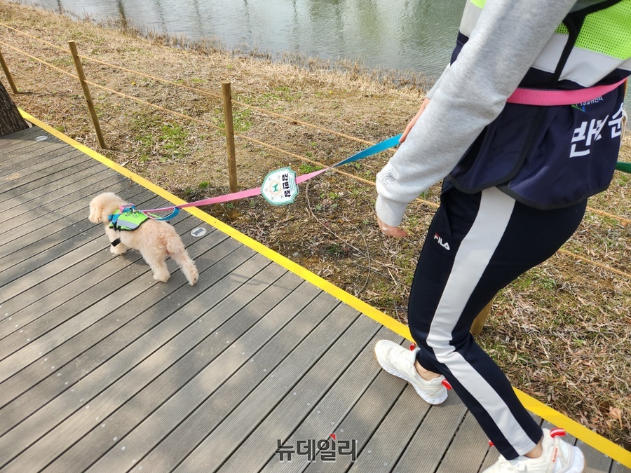 ▲ 지난 27일 서울 강서구 마곡나루의 서울식물원 호수공원에서 리치가 보호자와 함께 순찰을 돌고 있다. ⓒ진선우 기자