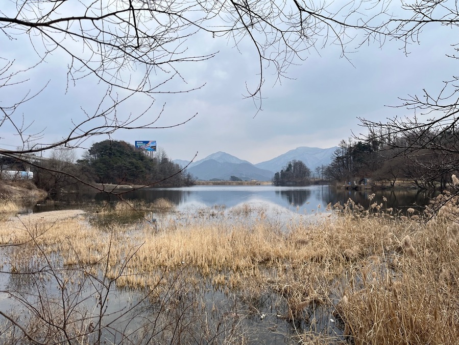 ▲ 제천시 금성면 월림저수지 전경.ⓒ한국농어촌공사