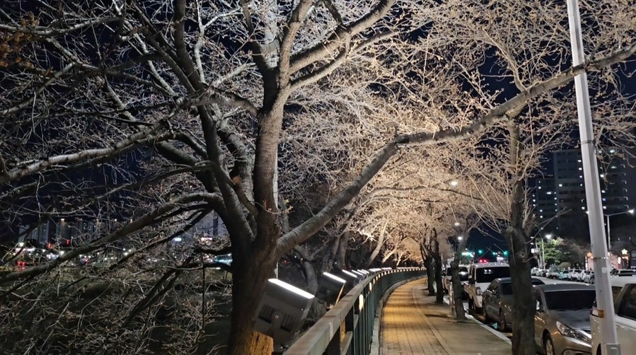 ▲ 야간조명이 설치된 무심천 사랑길. ⓒ청주시