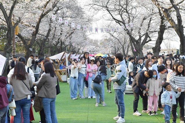 ▲ 경주 대릉원돌담길 벚꽃축제가 3일 간 행사의 완성도를 높이며 지난달 31일 성공리에 마무리 됐다.ⓒ경주시