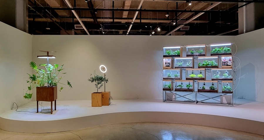 ▲ ‘공예의 숲(Woods of Crafts)’기획전에 참여한 노경택 작가의 작품.ⓒ청주시한국공예관