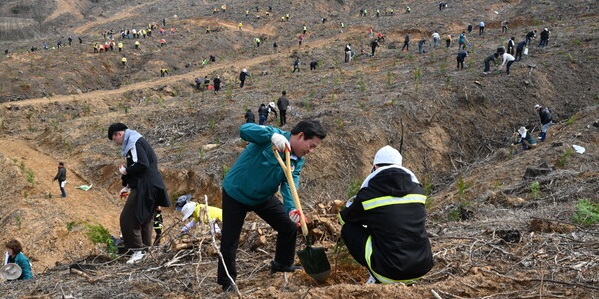 ▲ 충남 부여군이 올해 조림 사업에 15억 원을 투입해 233㏊의 산림면적에 편백나무 등 총 55만 그루의 나무를 4월 말까지 심을 예정이다.ⓒ부여군