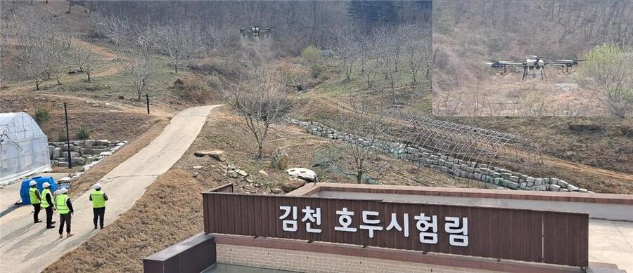▲ ⓒ김천시