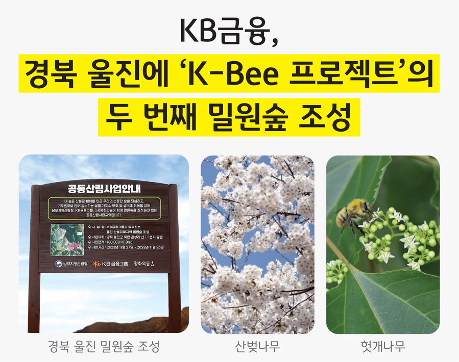 ▲ ⓒKB금융