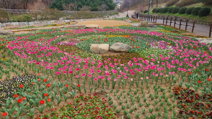 ▲ 고령군(군수 이남철)은 4월 완연한 봄을 맞아 대가야역사테마관광지, 대가야생활촌, 농촌체험특구 등 주요 관광지마다 봄꽃이 만개했음을 알렸다.ⓒ고령군
