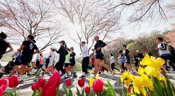 ▲ 대전 동구가 오는 13일 대청호 벚꽃 한 터(신상동 282)에서 대청호반의 수려한 풍광과 국내 최장의 벚꽃길을 달리는 ‘대청호 벚꽃길 마라톤대회’를 개최한다.ⓒ동구
