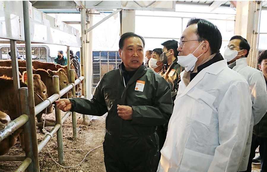 ▲ 나주시가  ‘으뜸한우 송아지 브랜드’ 사업에 선정돼 명품 한우 브랜드 기반 구축을 위한 한우 개량사업을 추진한다.ⓒ나주시 제공