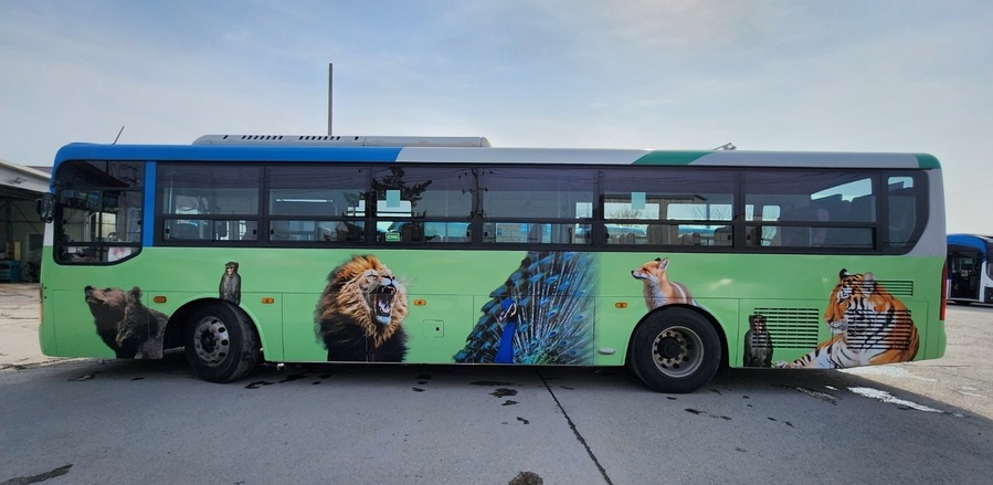 ▲ 청주랜드 방면 시내버스인 863번 버스 외부가 동물 이미지가 디자인된 모습. ⓒ청주시