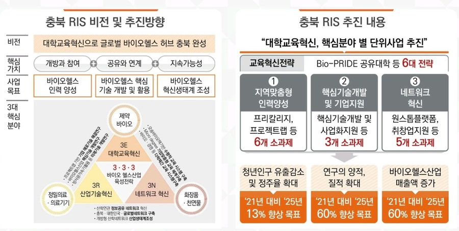 ▲ 충북 RIS 비전 및 추진방향과 추진 내용. ⓒ충북바이오헬스산업혁신센터