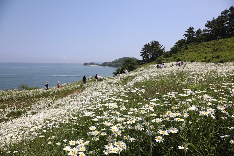 ▲ 부안군은 변산마실길 1코스 국립새만금간척박물관~변산해수찜 구간이 ‘새만금 챌린지 테마파크’ 공사로 중단돼 우회탐방로를 운영한다.
ⓒ부안군 사진 제공.