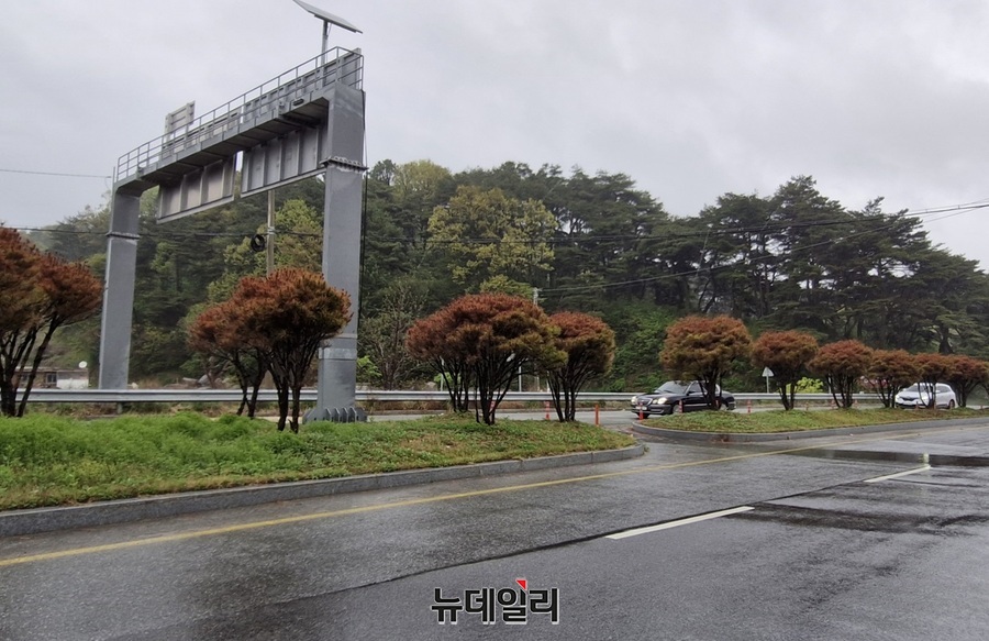 ▲ 충북 청주시 상당구 산성2터널 산성교차로 주변 도로 중앙 분리대에 식재된 소나무(반송) 수십여 그루 대부분이 말라죽어 가고 있다. 그러나 소나무를 말라죽게 만든 범인은 ‘재선충병’이 아닌 ‘염화칼슘’이다. 고사 원인을 들은 시민들은 대부분 ‘어이없다’는 반응이다.ⓒ양승갑 기자