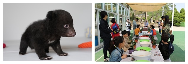 ▲ 지난해 어린이날 행사 모습.ⓒ베어트리파크