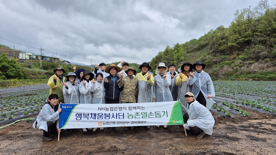 ▲ NH농협은행 경북본부(본부장 최진수)는 29일 영농철을 맞아 일손부족을 겪고 있는 영양군 지경리 소재 농가를 찾아 일손돕기를 진행했다.ⓒ경북농협