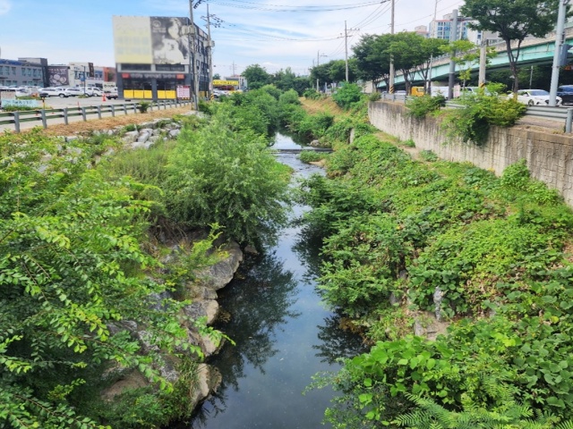 ▲ 완기천 전경. ⓒ용인시 제공