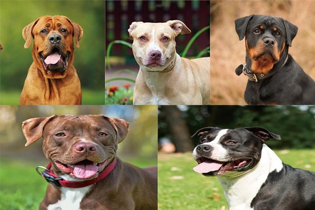 ▲ 기사와 무관함.ⓒ뉴데일리DB