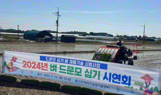 ▲ 인천시 농업기술센터는 최근 ‘벼 드문 모심기’ 시연회를 개최했다. ⓒ인천시 제공